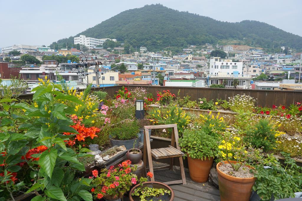 Grim Garden Guesthouse Yeosu Exterior photo